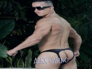 ALEX_GABINO