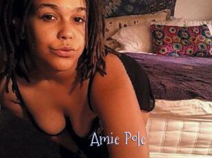 Amie_Pole