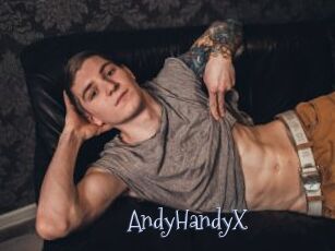 AndyHandyX