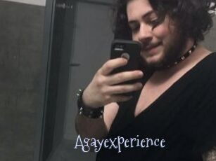 Agayexperience