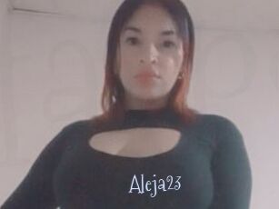 Aleja23