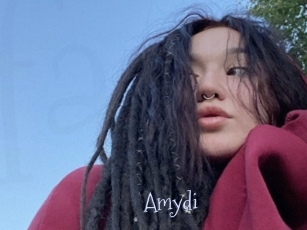 Amydi