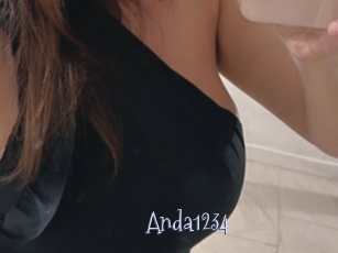 Anda1234