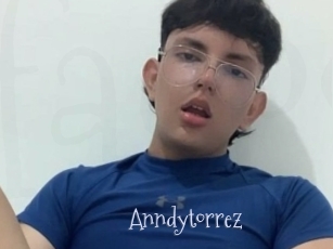 Anndytorrez