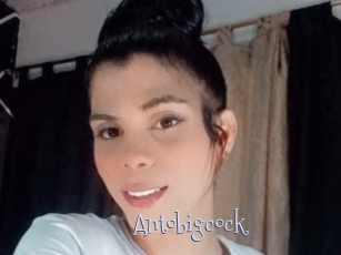 Antobigcock