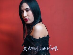 Antonellahumbolt