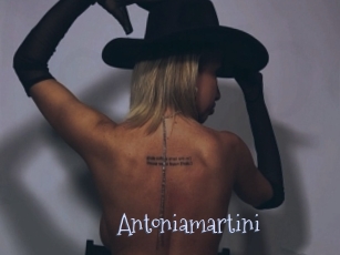 Antoniamartini