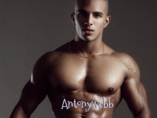 Antonywebb