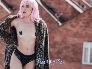 Asshleyrose