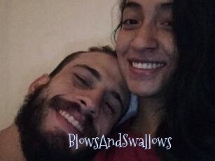 BlowsAndSwallows