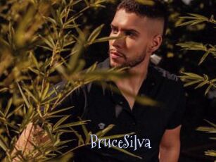 BruceSilva