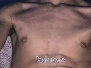 Badbunny75