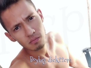 Boybig_dick22cm