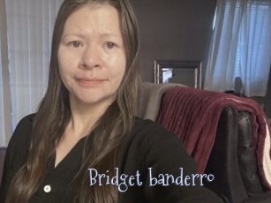 Bridget_banderro