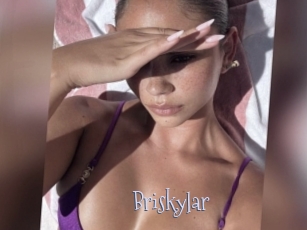 Briskylar