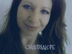 CHAUDSALOPE