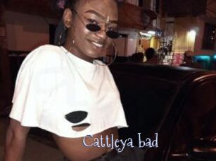 Cattleya_bad