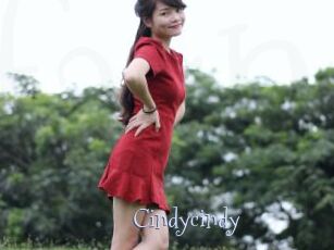 Cindycindy