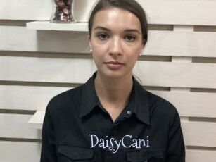 DaisyCani