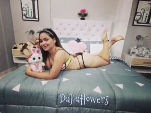 Daliaflowers