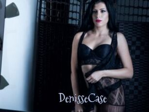 DenisseCase