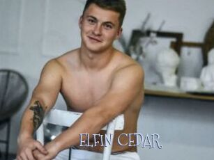 ELFIN_CEDAR