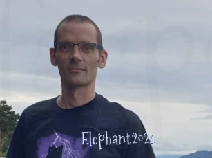 Elephant2024