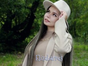 Elizabarnes