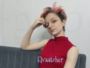 Elvaatcher