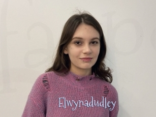 Elwynadudley
