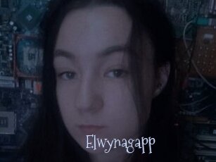 Elwynagapp