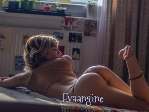 Evaangine