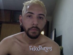 FelixBurgos