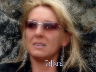 Fellare