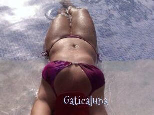 Gaticaluna