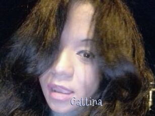 Gattina