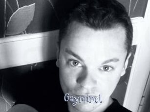 Gayminet