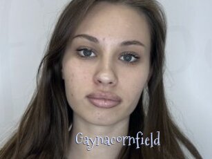 Gaynacornfield