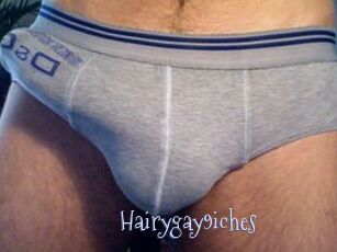 Hairygay9iches