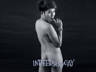 INDEEDsexyGAY