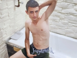 Joeytrunk