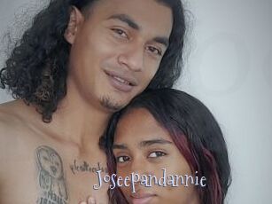 Joseepandannie