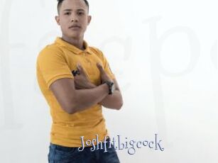 Joshfitbigcock