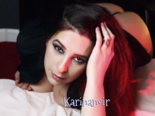 Karinanoir