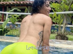 Leonardosantos