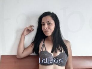 Littlemini