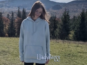 Lladybugg