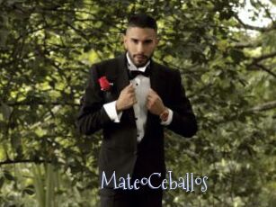 MateoCeballos