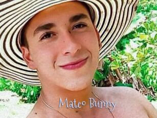 Mateo_Bunny