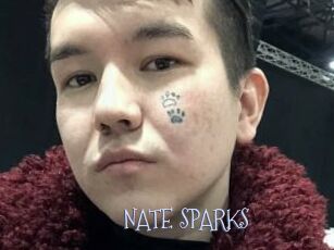 NATE_SPARKS